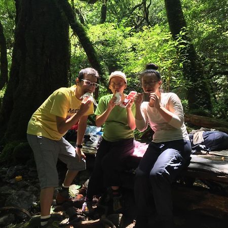 Yakushima Youth Hostel エクステリア 写真