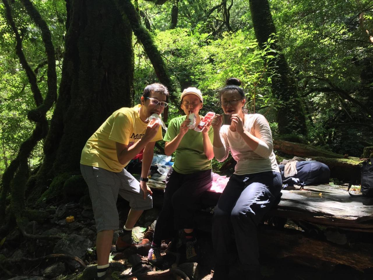Yakushima Youth Hostel エクステリア 写真